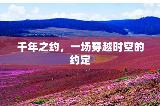 千年之约，一场穿越时空的约定
