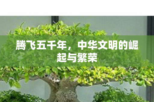腾飞五千年，中华文明的崛起与繁荣