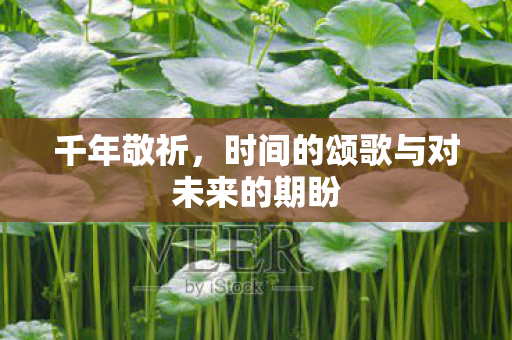 千年敬祈，时间的颂歌与对未来的期盼