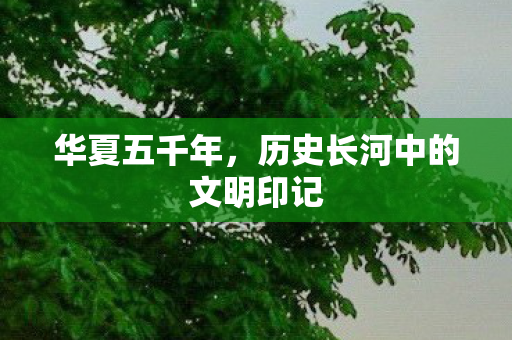 华夏五千年,历史长河中的文明印记 华夏五千年,历史长河中的文明印记