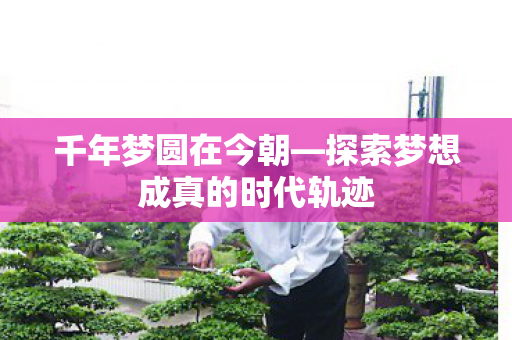 千年梦圆在今朝—探索梦想成真的时代轨迹