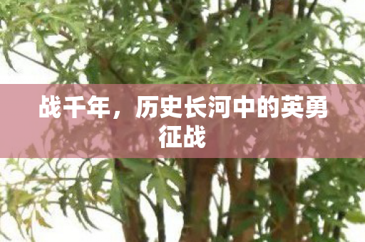 战千年，历史长河中的英勇征战