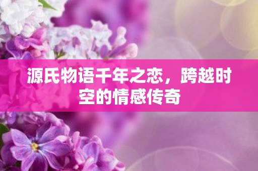源氏物语千年之恋，跨越时空的情感传奇