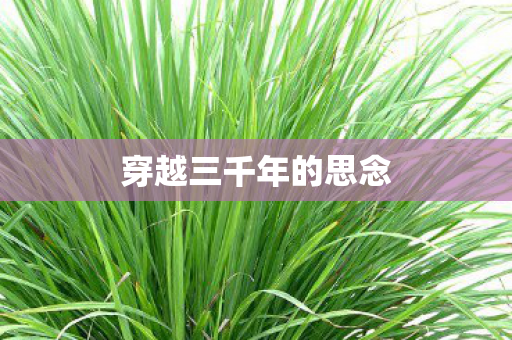 穿越三千年的思念