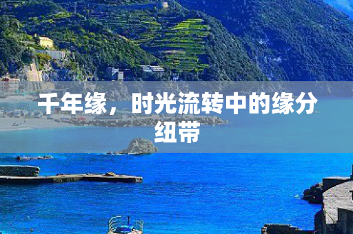 千年缘，时光流转中的缘分纽带