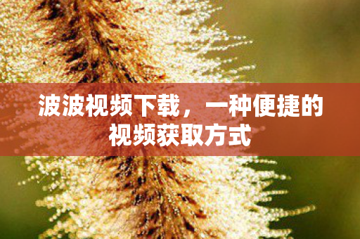 波波视频下载，一种便捷的视频获取方式