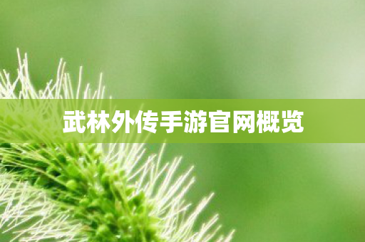 武林外传手游官网概览