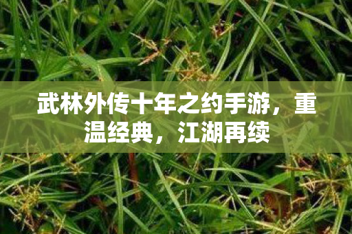 武林外传十年之约手游，重温经典，江湖再续