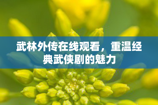 武林外传在线观看，重温经典武侠剧的魅力