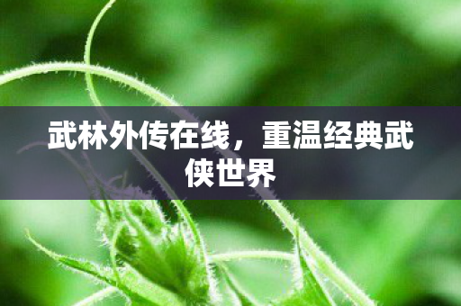 武林外传在线，重温经典武侠世界
