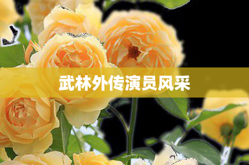 武林外传演员风采