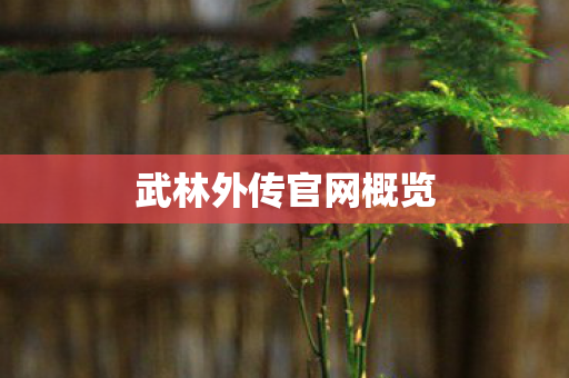 武林外传官网概览