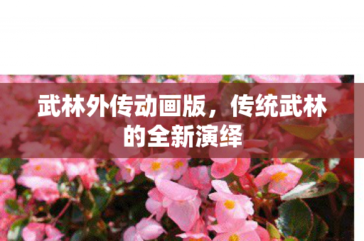武林外传动画版，传统武林的全新演绎