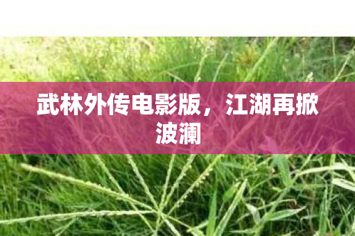 武林外传电影版,江湖再掀波澜 武林外传电影版,江湖再掀波澜