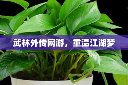 武林外传网游，重温江湖梦