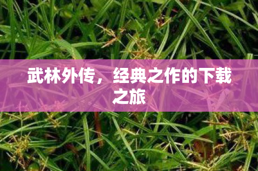 武林外传，经典之作的下载之旅