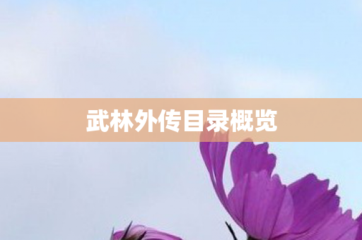 武林外传目录概览