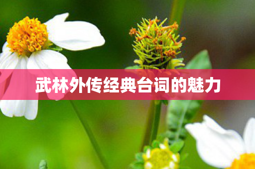 武林外传经典台词的魅力