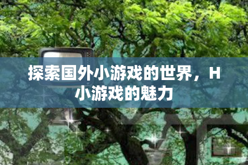 探索国外小游戏的世界，H小游戏的魅力