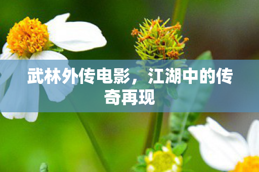武林外传电影，江湖中的传奇再现