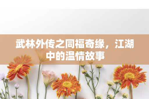 武林外传之同福奇缘,江湖中的温情故事 武林外传之同福奇缘,江湖中的温情故事