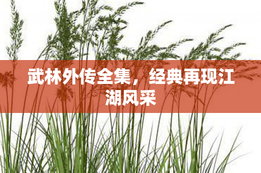 武林外传全集，经典再现江湖风采