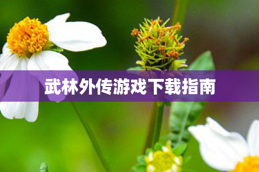 武林外传游戏下载指南