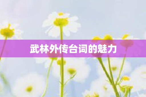 武林外传台词的魅力