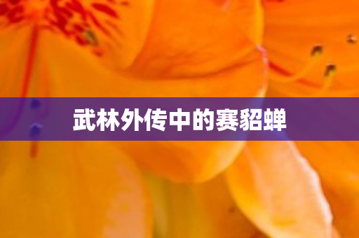 武林外传中的赛貂蝉