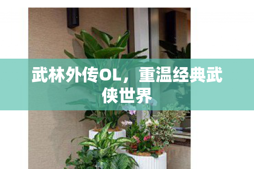 武林外传OL，重温经典武侠世界