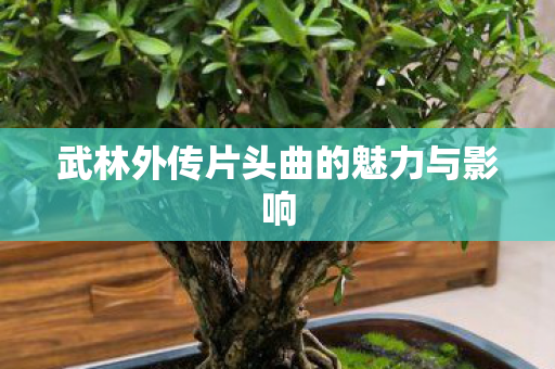 武林外传片头曲的魅力与影响