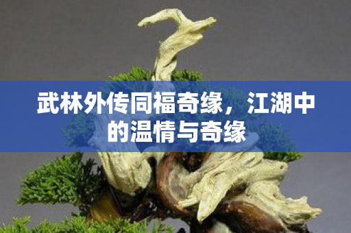 武林外传同福奇缘，江湖中的温情与奇缘
