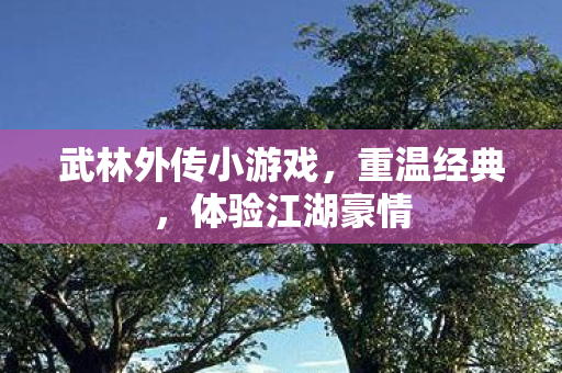 武林外传小游戏，重温经典，体验江湖豪情