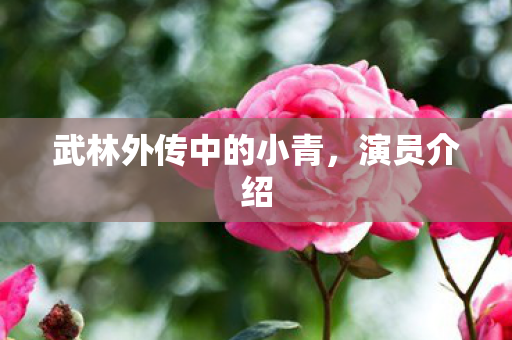武林外传中的小青，演员介绍