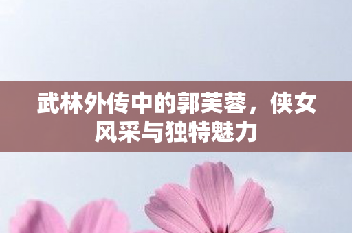 武林外传中的郭芙蓉，侠女风采与独特魅力