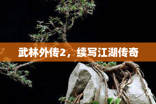 武林外传2，续写江湖传奇