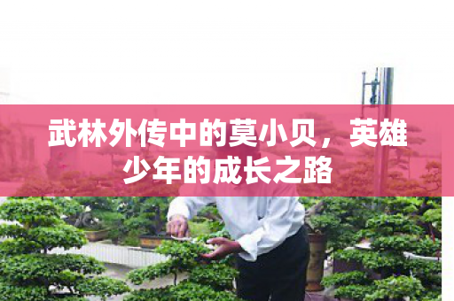 武林外传中的莫小贝，英雄少年的成长之路