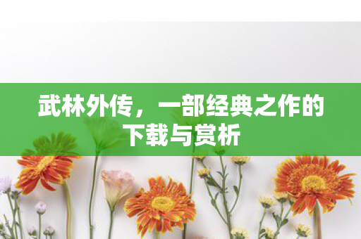 武林外传,一部经典之作的下载与赏析 武林外传,一部经典之作的下载与赏析
