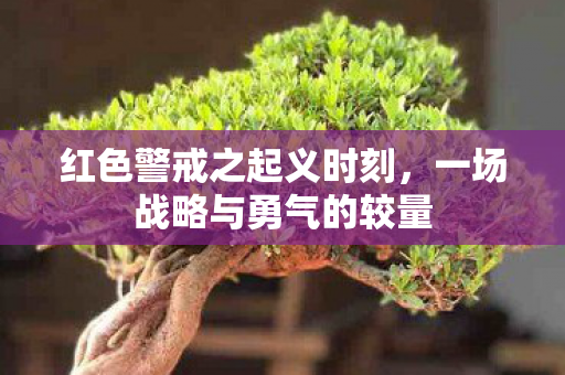 红色警戒之起义时刻，一场战略与勇气的较量