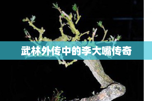 武林外传中的李大嘴传奇