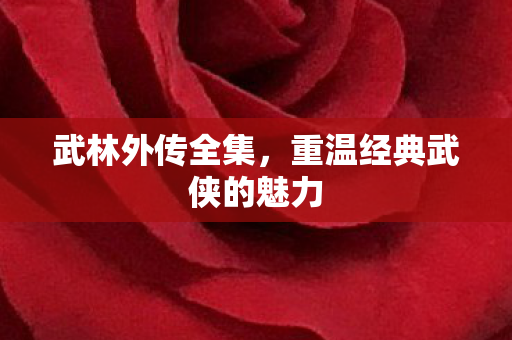 武林外传全集，重温经典武侠的魅力