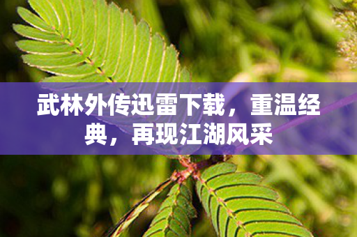 武林外传迅雷下载，重温经典，再现江湖风采