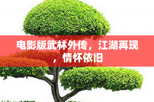 电影版武林外传，江湖再现，情怀依旧