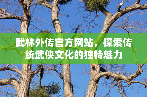 武林外传官方网站，探索传统武侠文化的独特魅力