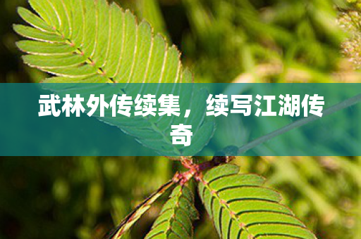 武林外传续集，续写江湖传奇