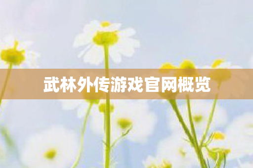 武林外传游戏官网概览