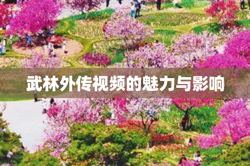 武林外传视频的魅力与影响