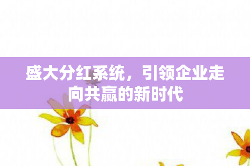 盛大分红系统，引领企业走向共赢的新时代