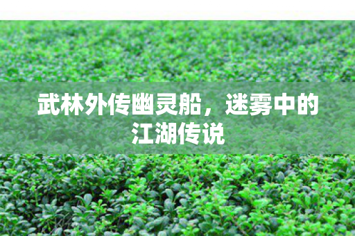 武林外传幽灵船,迷雾中的江湖传说 武林外传幽灵船,迷雾中的江湖传说