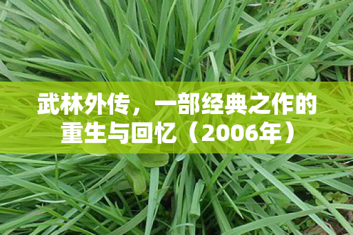 武林外传,一部经典之作的重生与回忆(2006年) 武林外传,一部经典之作的重生与回忆(2006年)